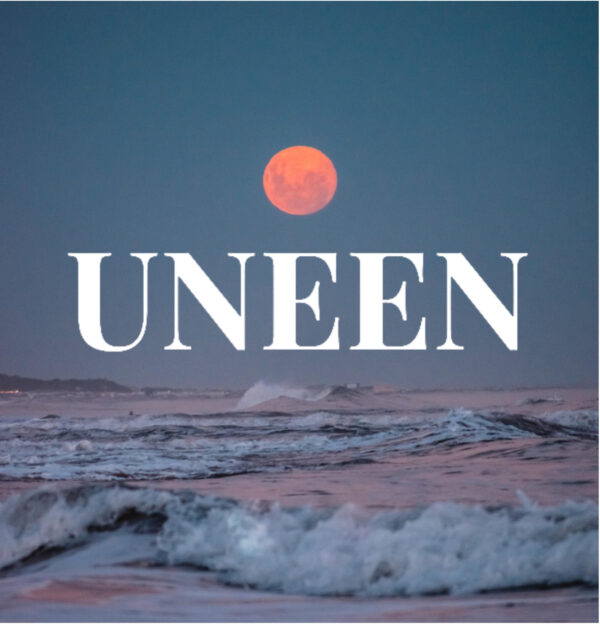 UNEEN pilotti